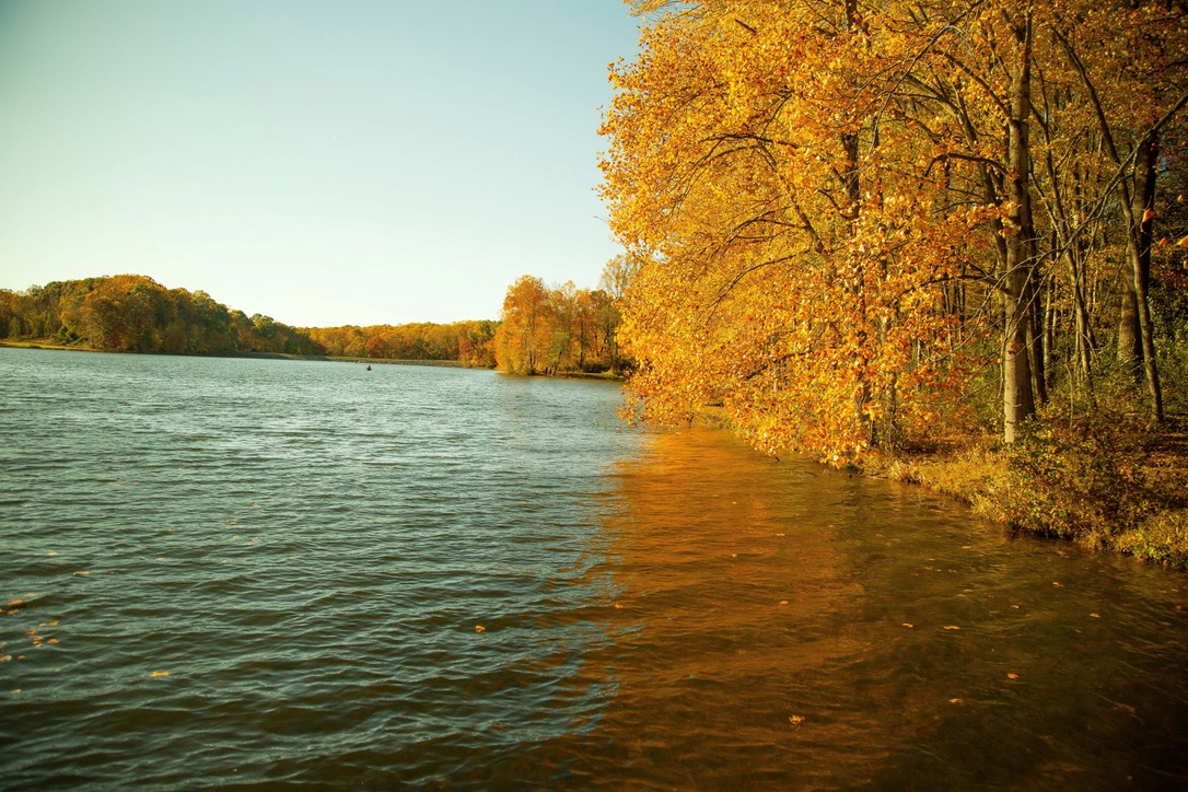 Autumn lake with golden foliage reflections